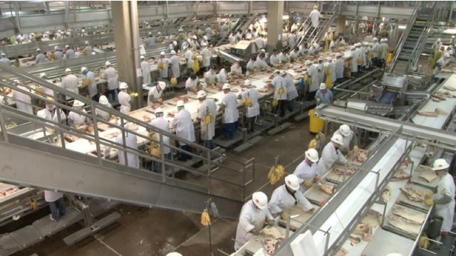 Beef Processing B-Roll