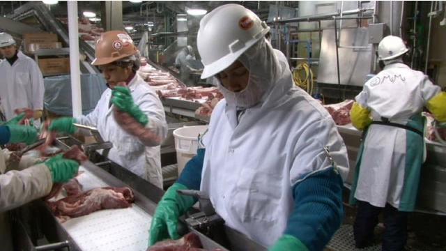 Pork Processing B-Roll