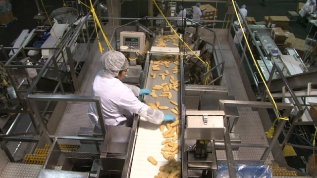 Poultry Processing B Roll