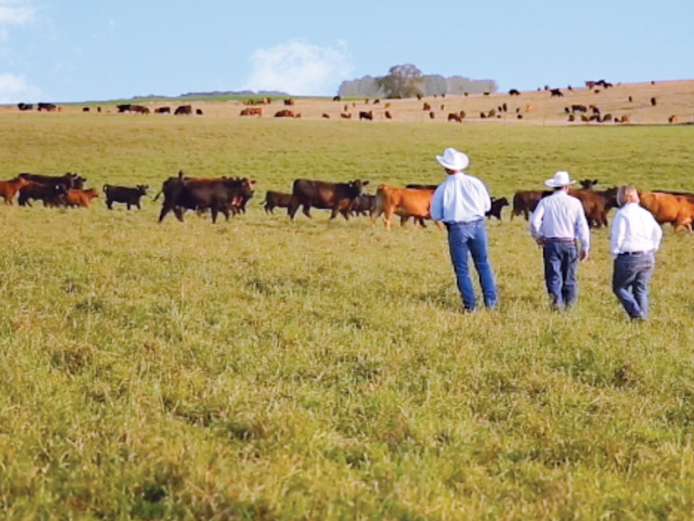 The Trouble With Tariffs