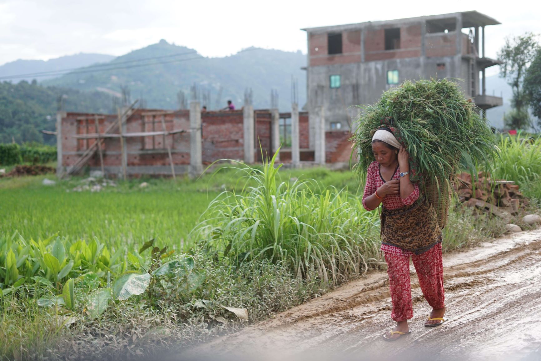 Nepalese farmer