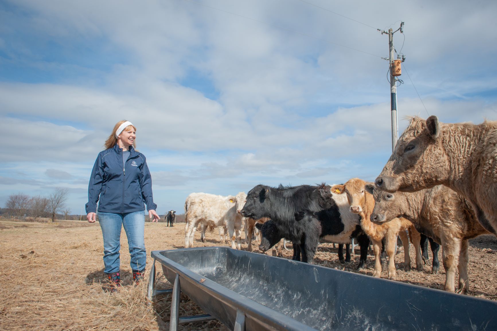 stoni jo - cow trough