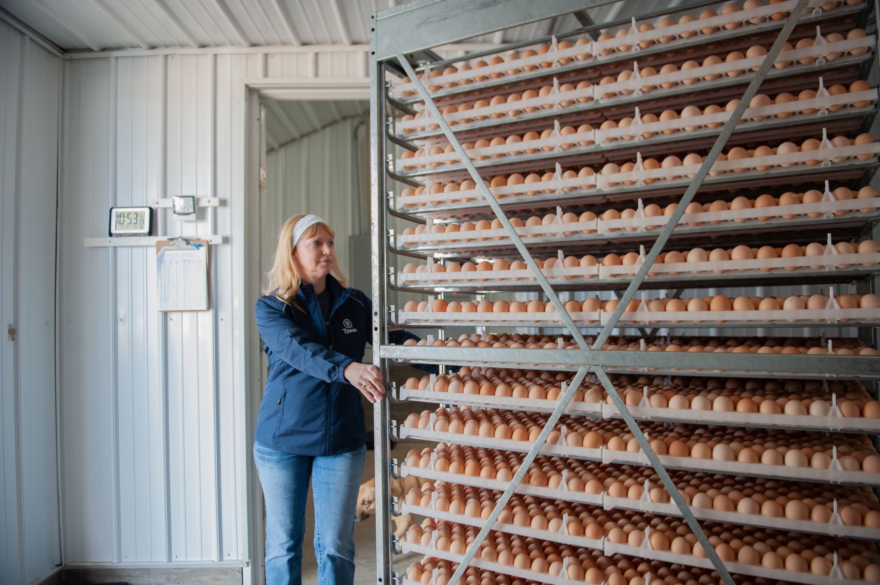Stoni Jo - egg shelves