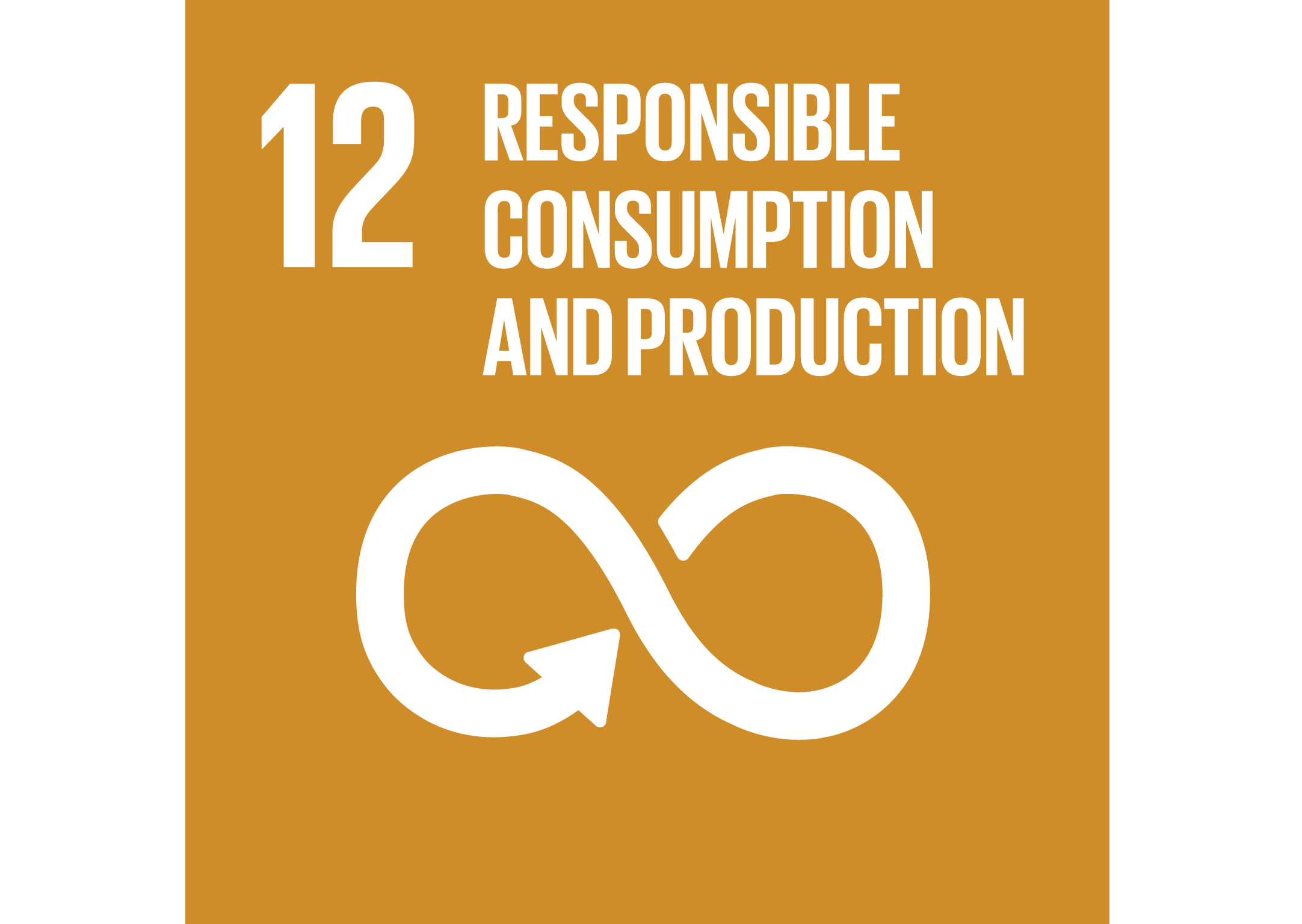 sdg responsible production