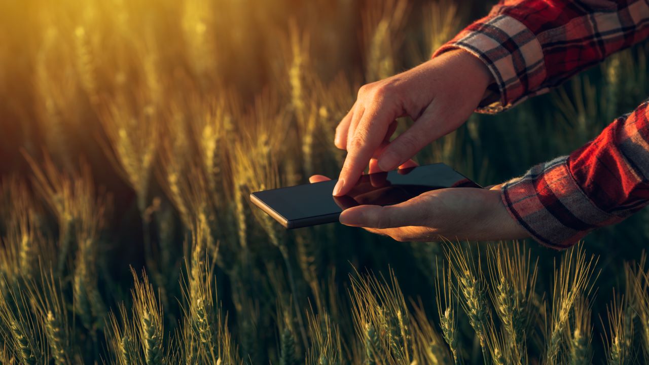 A photo of a person using modern technology in a field