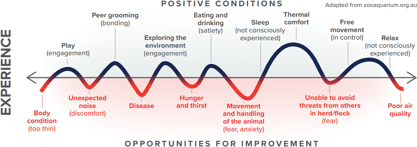 This is a chart defining outcomes of positive conditions and opportunities for improvement.
