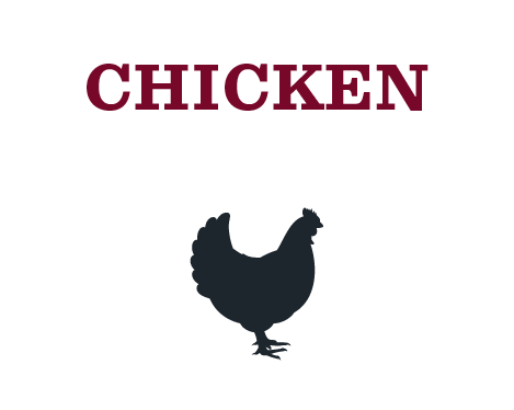 Chicken Chicken