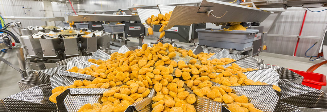 Chicken nuggets in assembly line