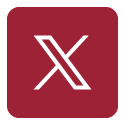 X icon logo