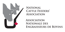 This is the logo for the National Cattle Feeders' Association.