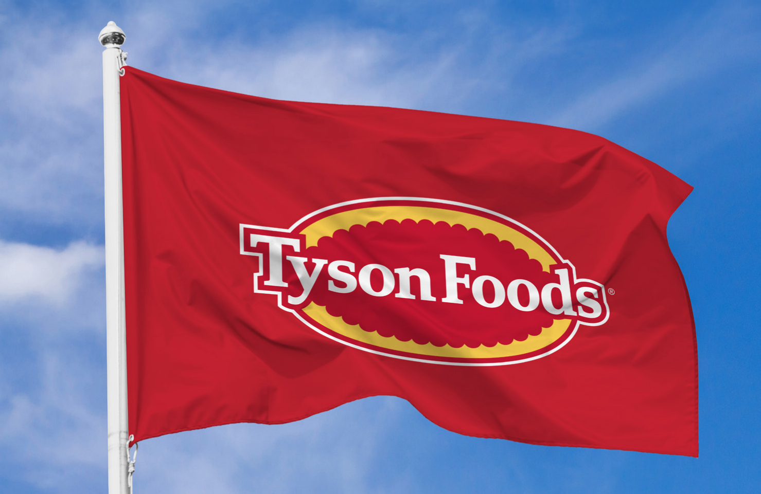 Flag Logo