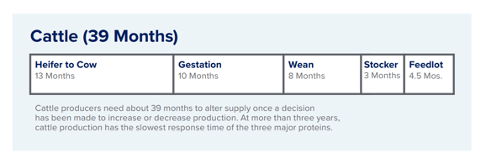 Table 2: Growing Cattle is a Time-Intensive Process 