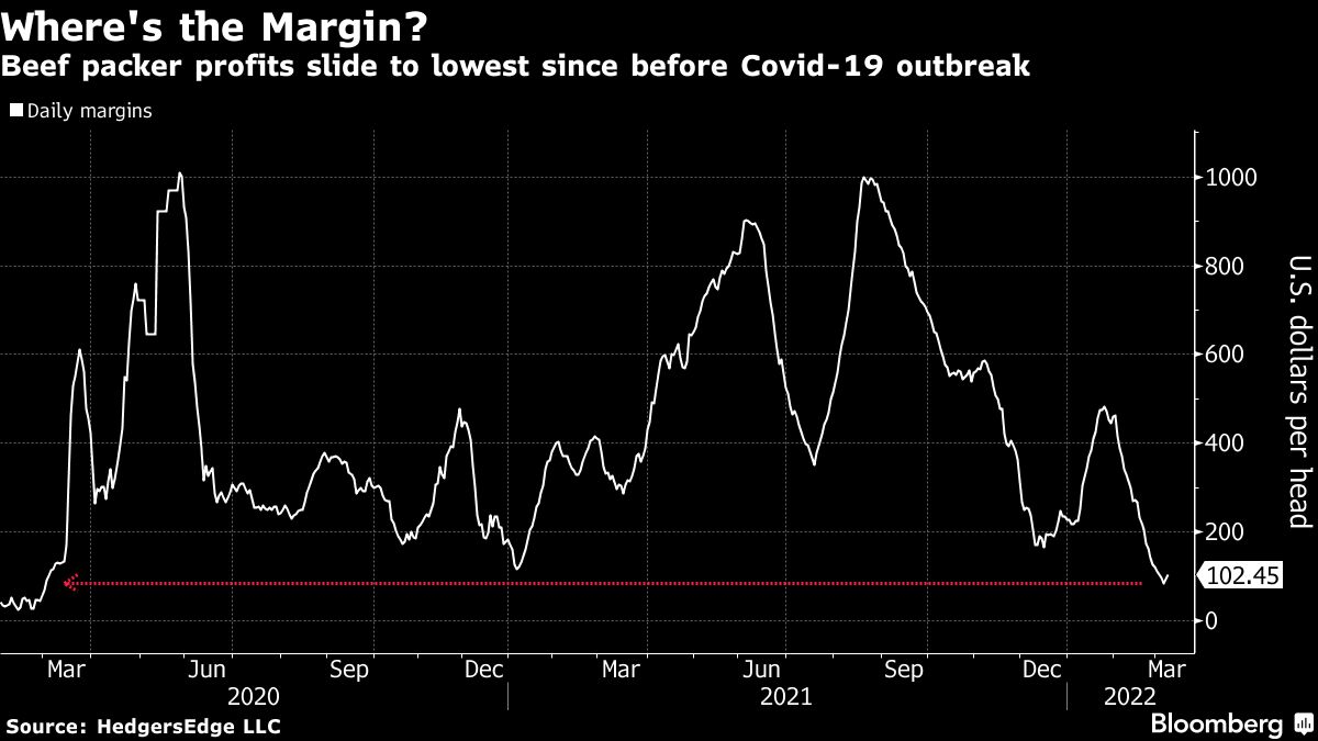 A chart of from Bloomberg regarding beef packer profits