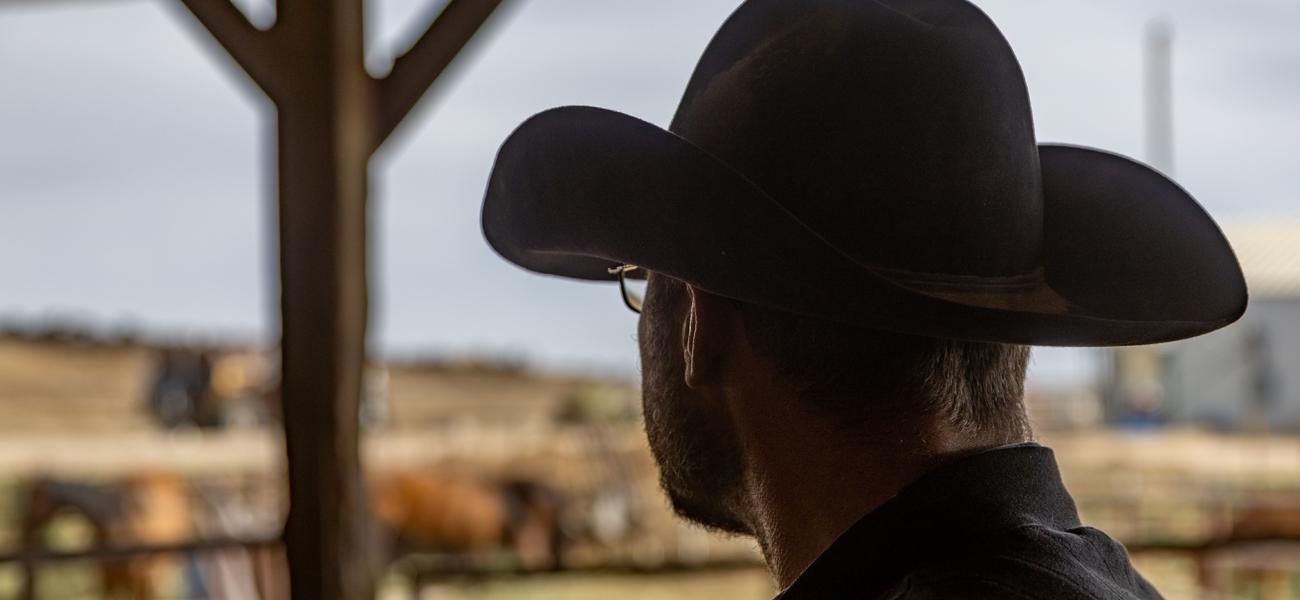 This is a photo of a man in cowboy hat looking at livestock.