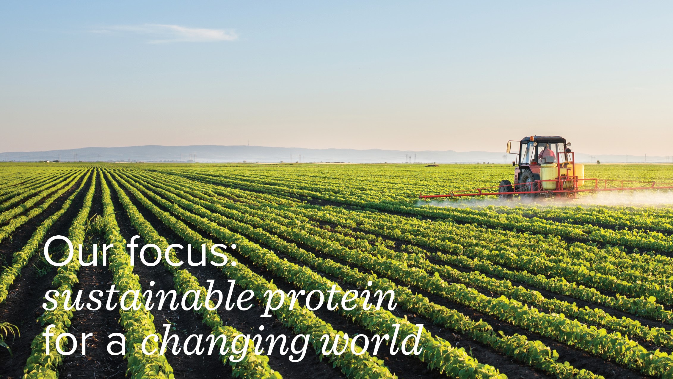 Our Focus - Sustainable Protein for A Changing World