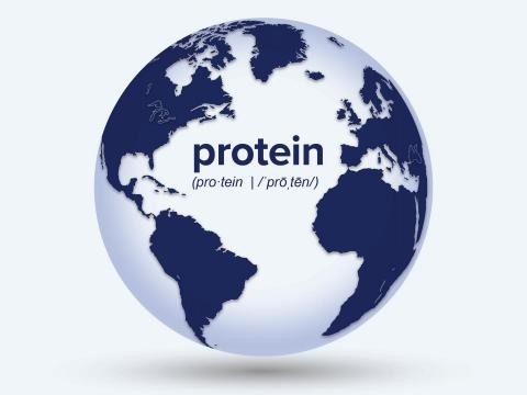 Global Protein